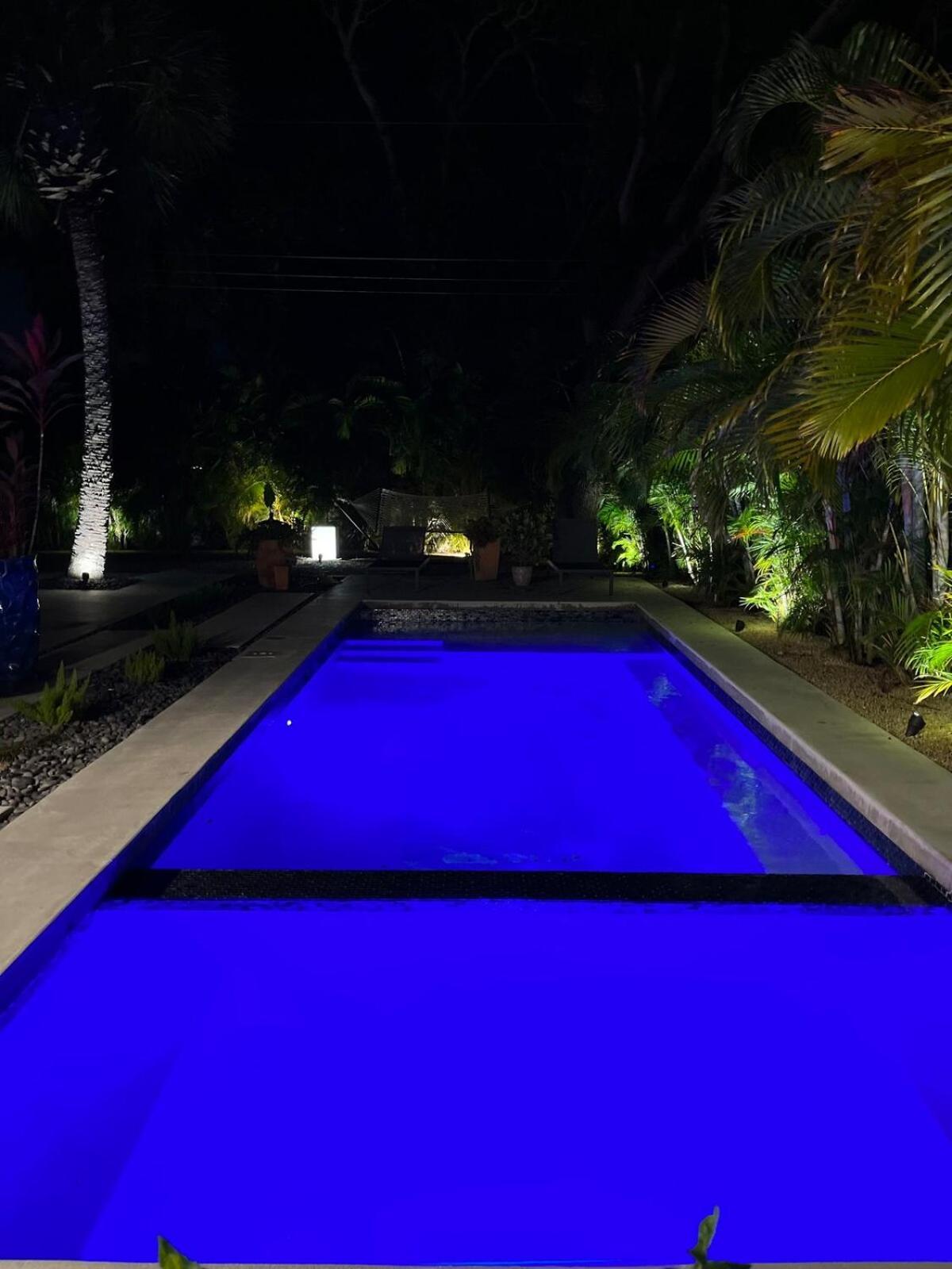 Вилла Hiddengem In Charming Sarasota, Florida Экстерьер фото